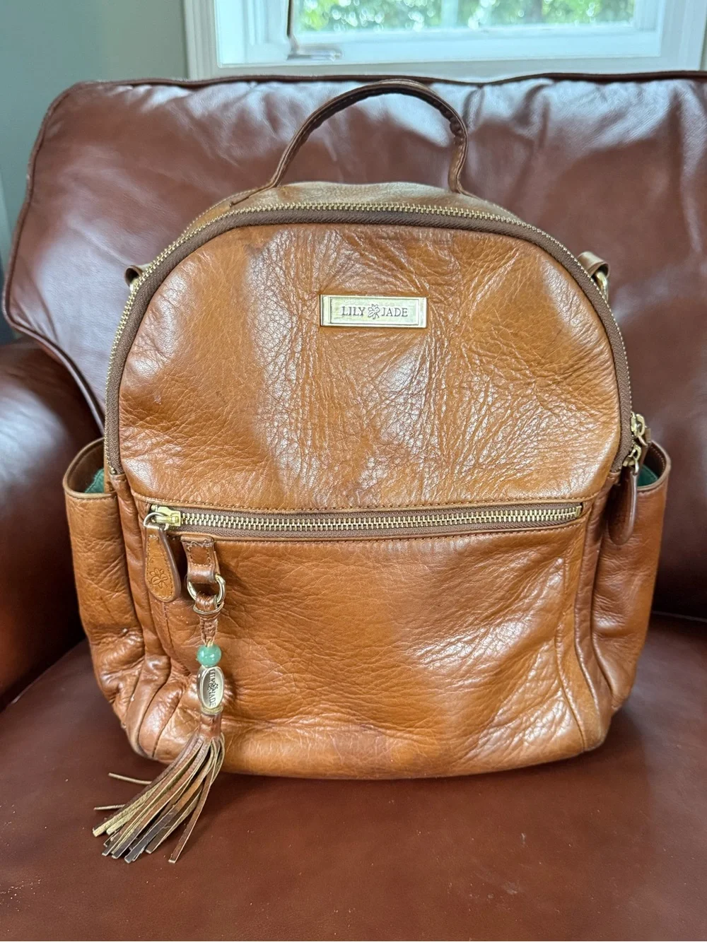 Lily Jade Old English Anna Medium